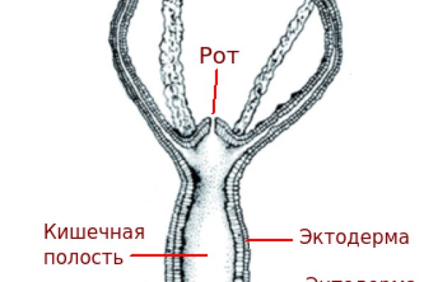 Блэкспрут маркетплейс