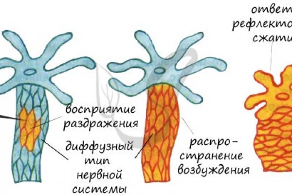 Блэкспрут даркнет ссылка