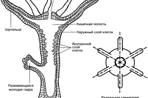 Блэкспрут даркнет blacksprute com